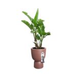 elho Pure Coupe Bloempot Ã 35 cm