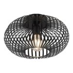 TRIO Johann Plafondlamp Ã 30 cm