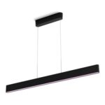 Philips Hue Ensis Hanglamp